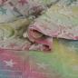 Preview: Denim Sterne ripped Look regenbogenbunt